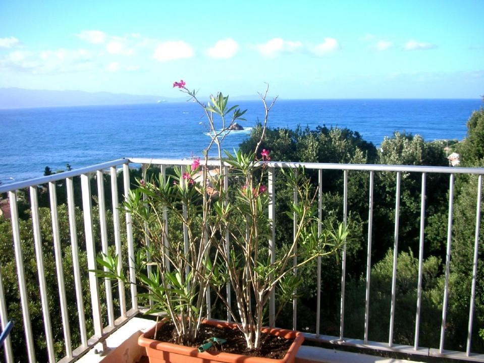 Appartement Climatise Vue Mer Route Des Sanguinaires Ajaccio  Exterior photo